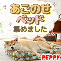 犬・猫の総合情報サイト『PEPPY(ペピイ)』